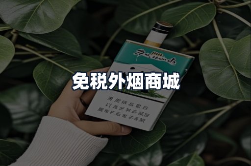 免税外烟商城